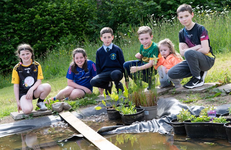 Local children gather around the new wildlife pond, created by Black Mountain volunteers, in the community wildlife garden at Bog Meadows Nature Reserve.