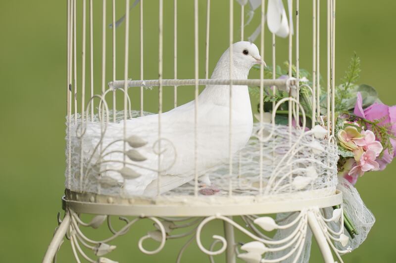 White doves were released following the funeral