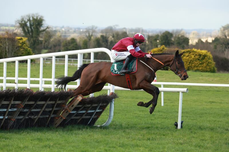 Brighterdaysahead jumps a fence