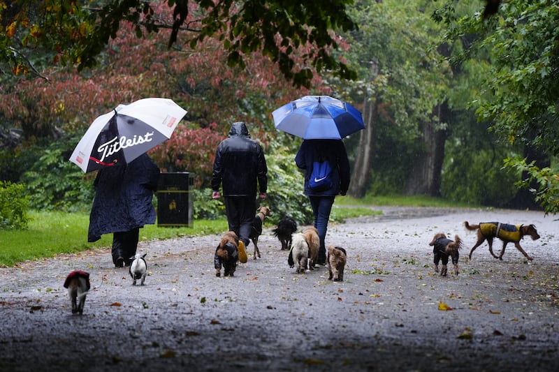 More rain is forecast