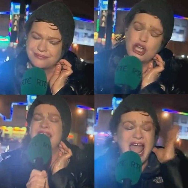 RT&Eacute; journalist Teresa Mannion became an internet sensation after braving the elements for a report for Saturday&#39;s evening news 