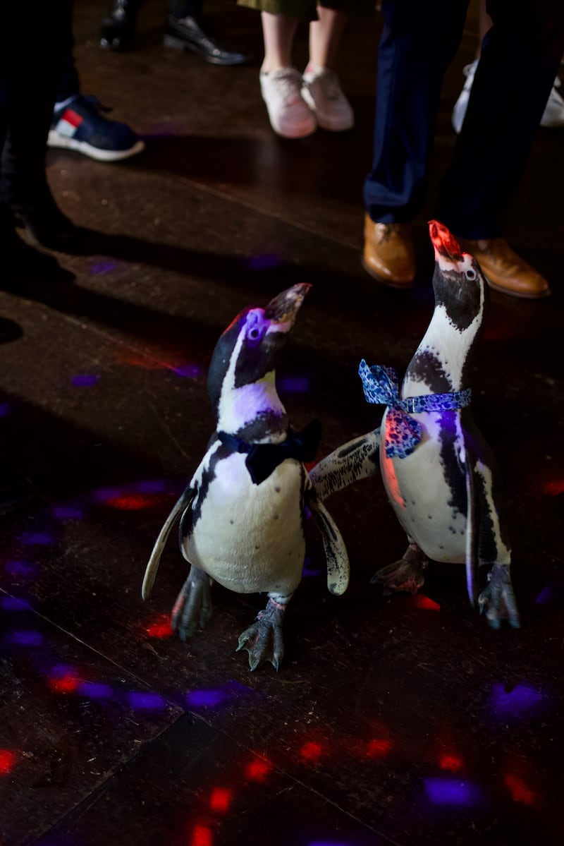 The first dance