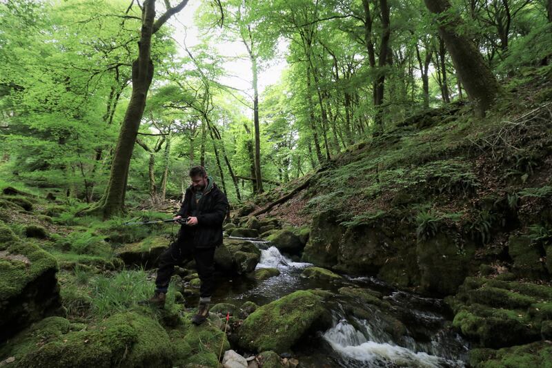 PhD researcher Brogan Pett taking notes. (Nick Royle/Woodland Trust)