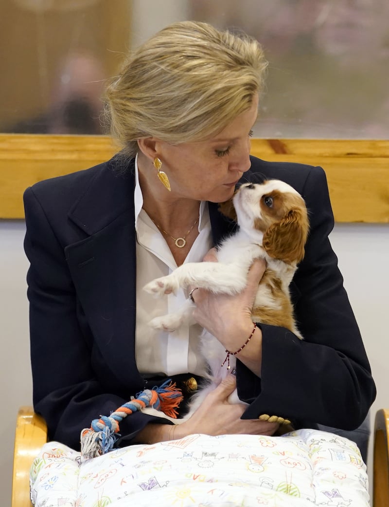 Sophie was said to be ‘completely besotted’ with the Cavalier King Charles Spaniel puppy