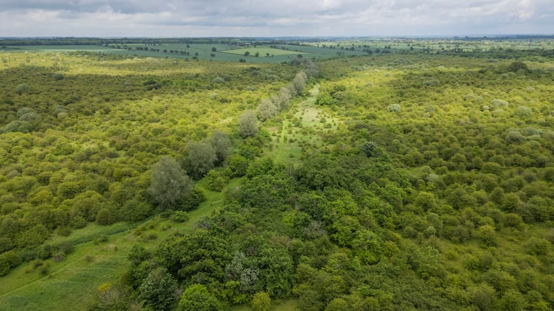 Strawberry Hill’s habitat is ‘overbrimming with wildlife’