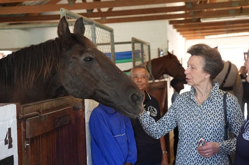 The Princess Royal strokes a horse in the stables during a visit to the South African Riding School for Disabled Association last month