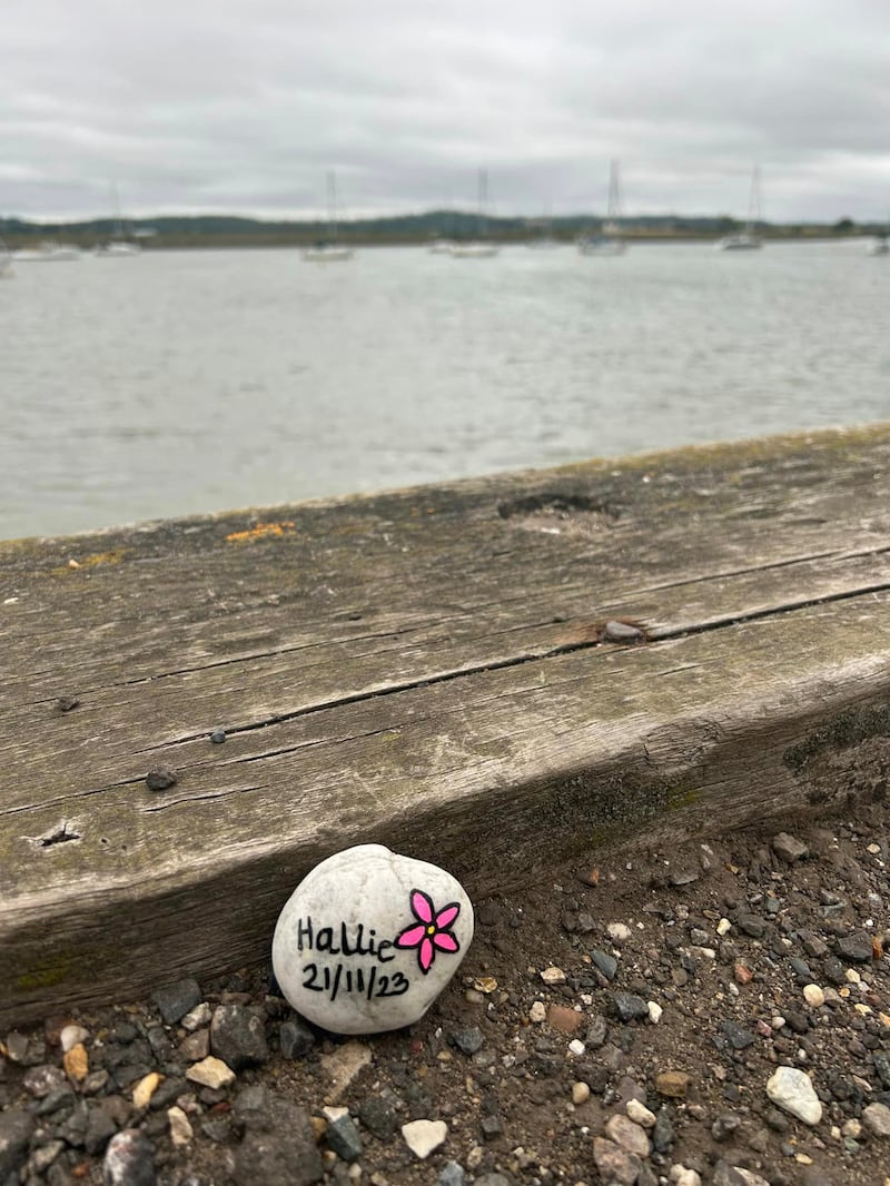 One of the rocks in North Fambridge