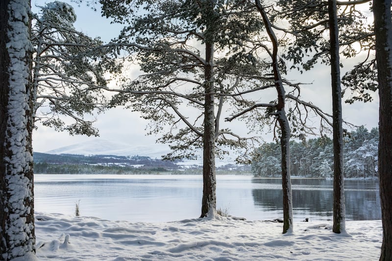 Loch Garten Winter scene in the Cairngorms National Park of Scotland