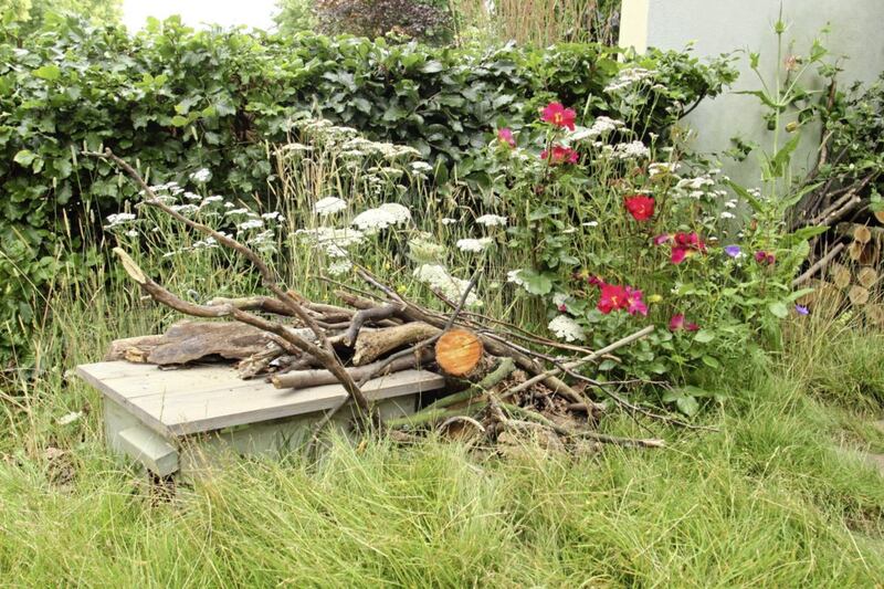 A hedgehog house and log pile 