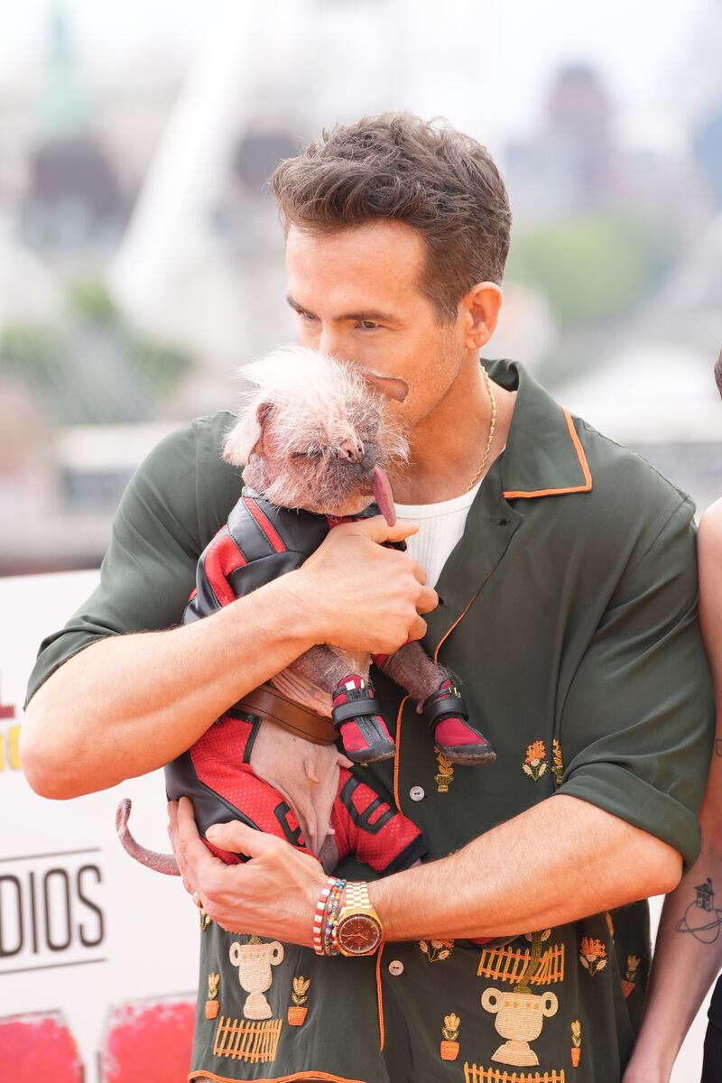 Ryan Reynolds was also spotted kissing the dog