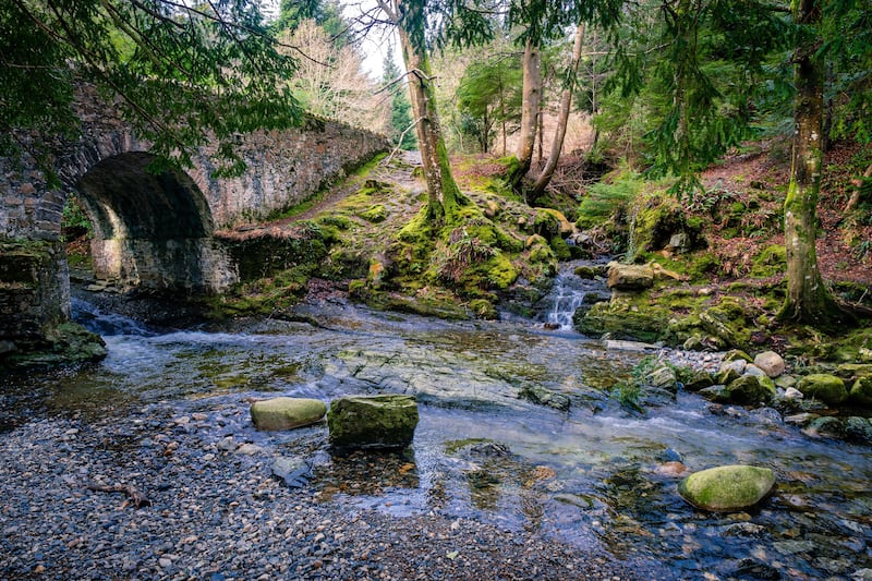 Film location in Tollymore National Park (Alamy/PA)