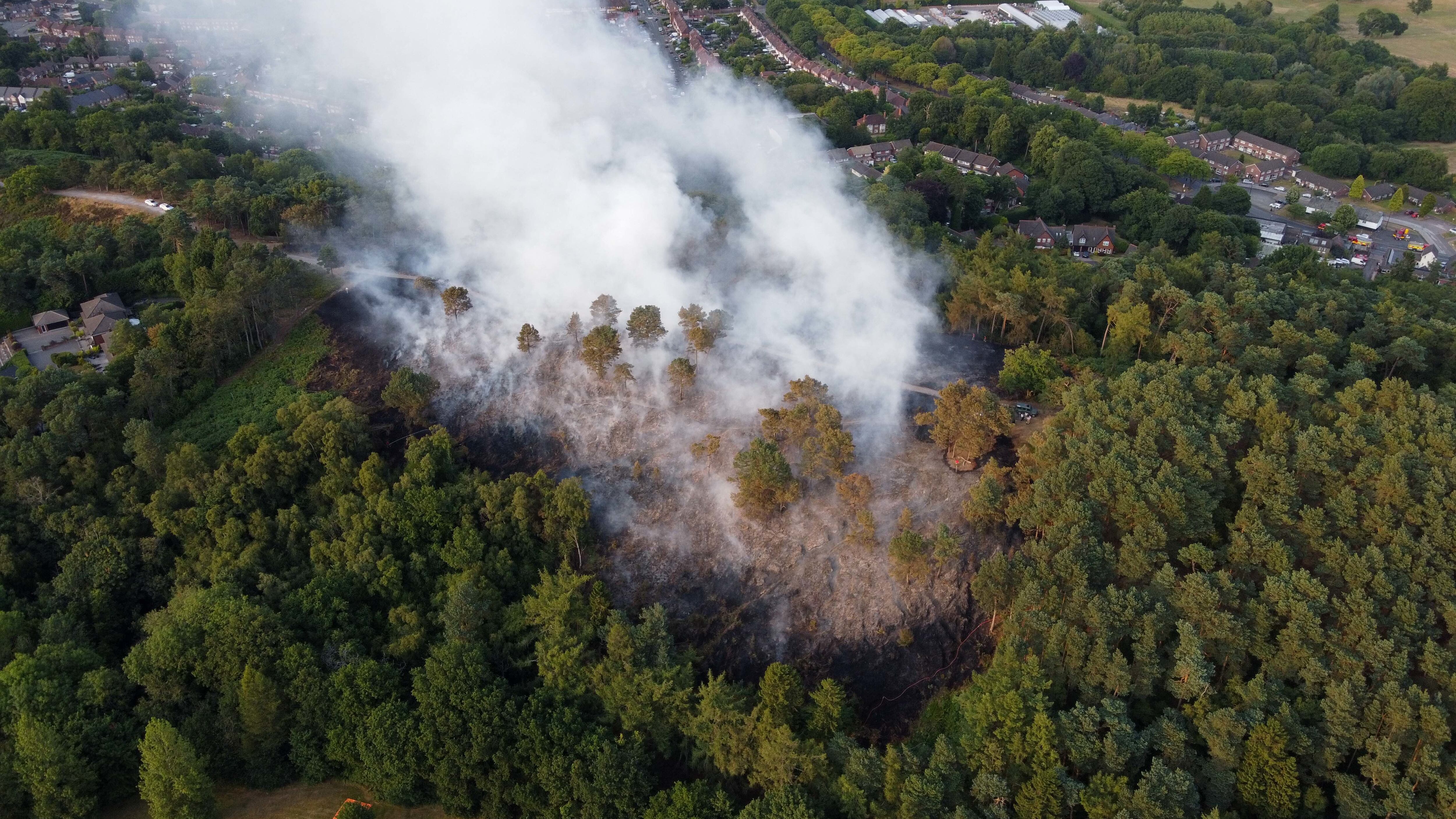 Firefighters respond to a large wildfire in woodland at Lickey Hills Country Park on the edge of Birmingham in 2022
