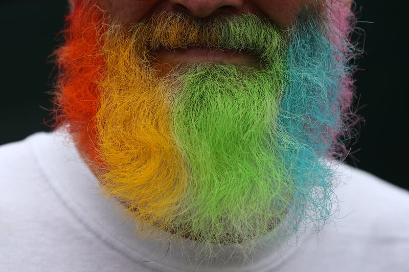 A gay pride coloured beard