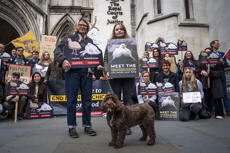 Animal welfare supporters outside the Royal Courts Of Justice in London