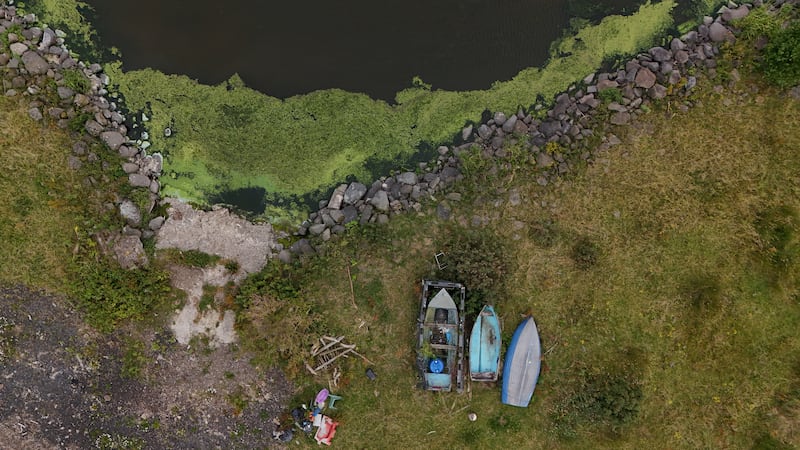 Lough Neagh has been impacted by noxious blooms of blue-green algae