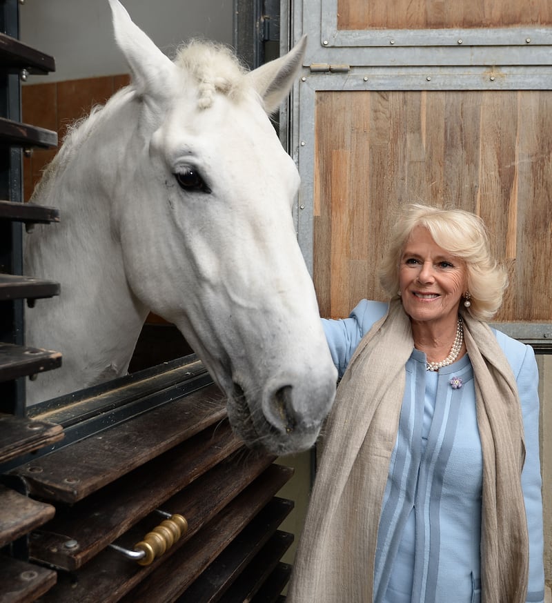 Camilla views the horses during her visit to the Spanish Riding School in Vienna, Austria