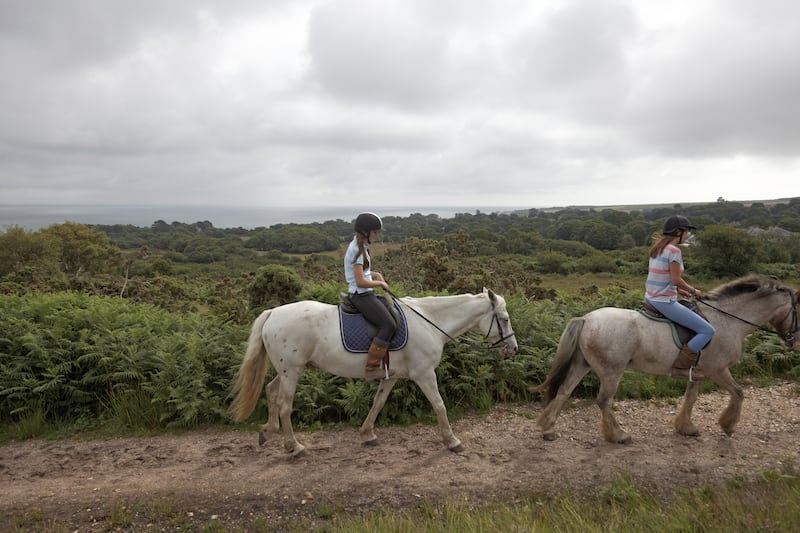 Paths that form firebreaks are managed for access and wildlife, says the National Trust