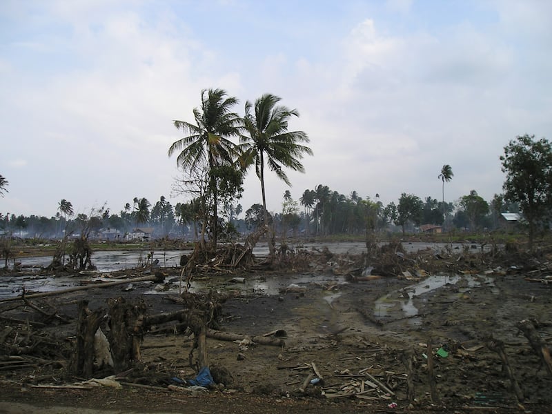 Handout picture of the aftermath of the tsunami in Sri Lanka (ShelterBox).