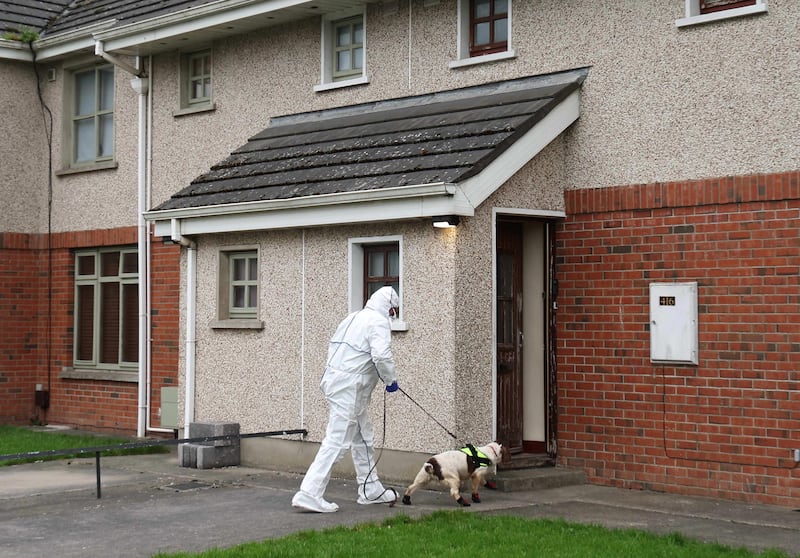 A specialist dog and its handler enter a property on Beechwood Drive in Drogheda