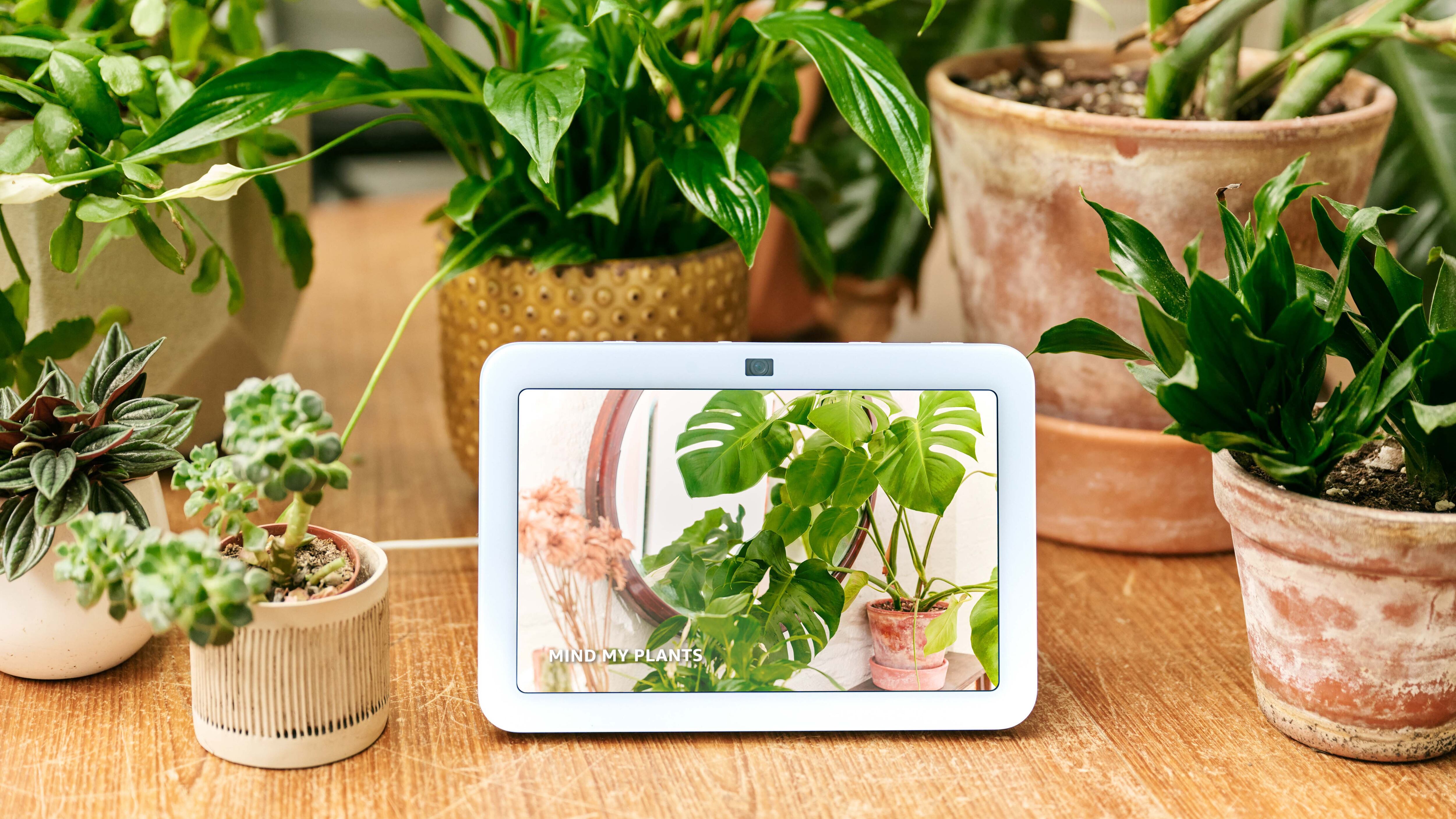 Smart technology can help you care for your houseplants