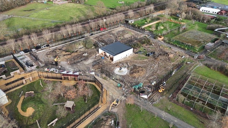 The Lion Rescue Centre at the Big Cat Sanctuary in Smarden, Kent, under construction in preparation for the arrival of five lions from Ukraine (The Big Cat Sanctuary)