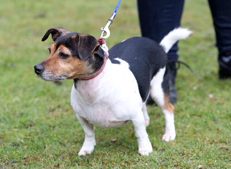 Beth was described as the Queen’s ‘much-loved companion’