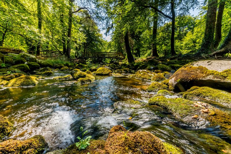 Mourne Park