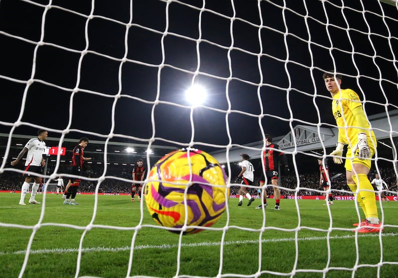 Harry Wilson was on target for Fulham