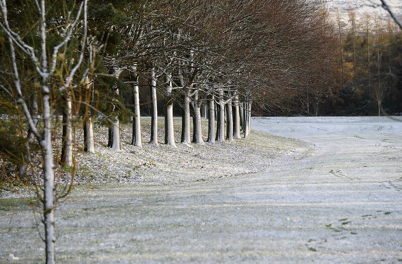 Pacemaker Press 21-11-2024:  
Snow covering the trees on the Park Road area of Newtownabbey.
 Picture By: Arthur Allison/Pacemaker Press.