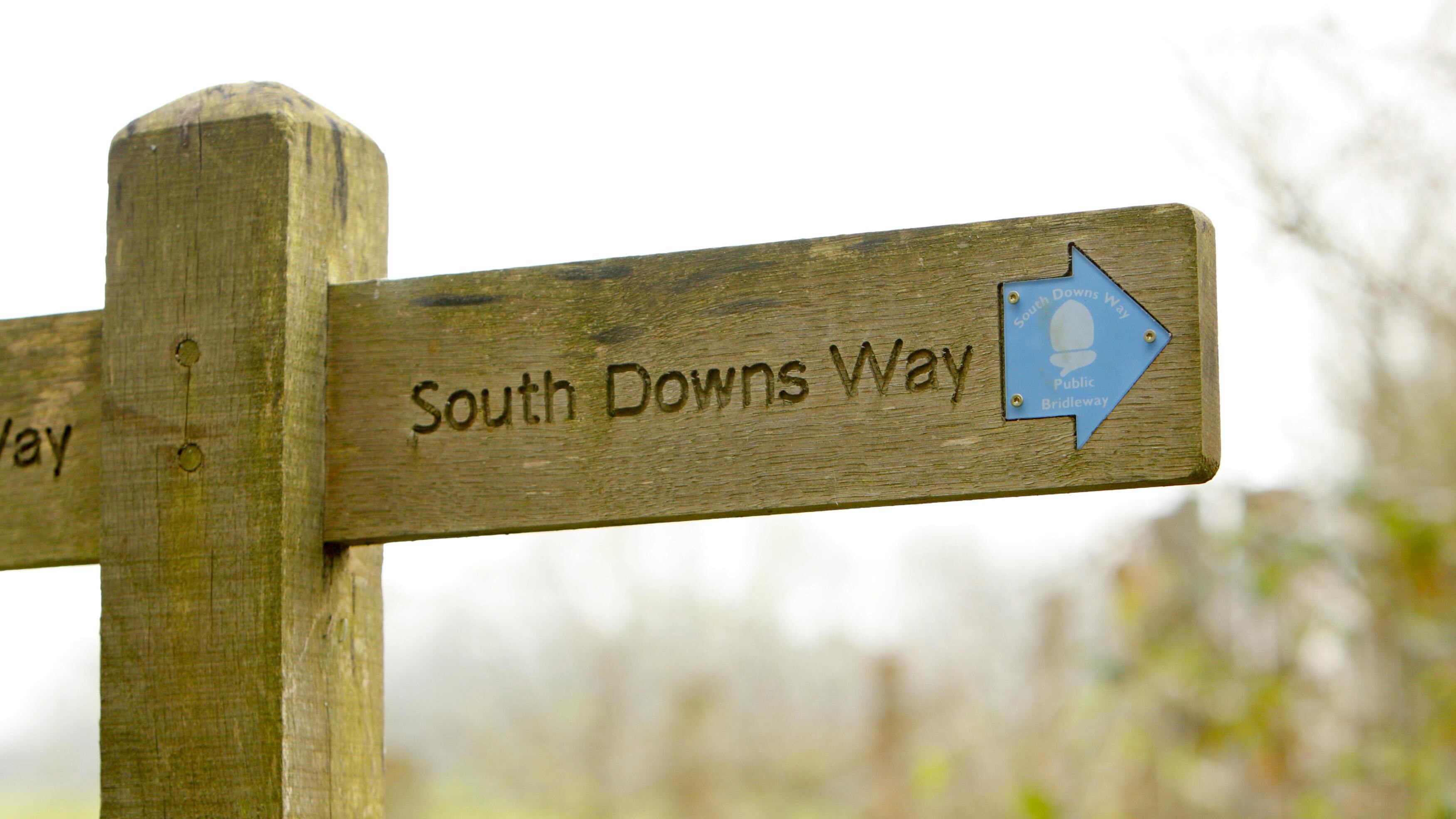 The South Downs National Park has become the first in the country to launch a scheme to enable businesses to invest in ‘high-ethic, effective nature recovery’ with the aim of boosting biodiversity