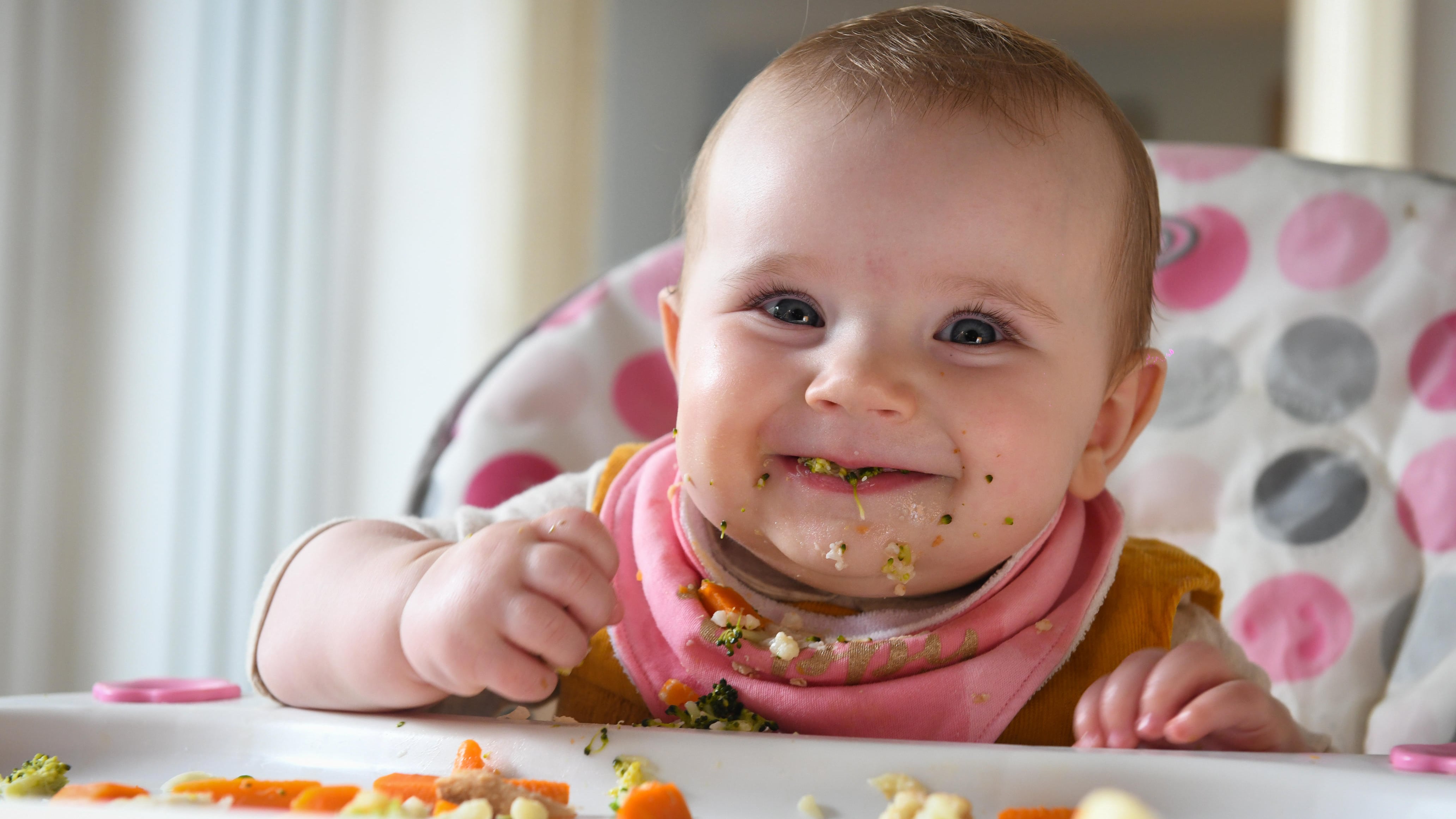 Baby-led weaning furnishes ample calories for growth and development, scientists say
