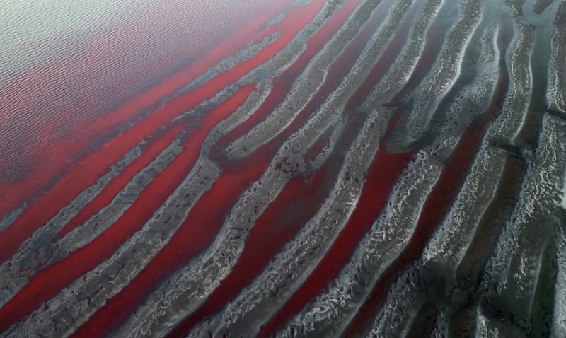 The banks of the Rio de la Plata are dyed red at the mouth of the Sarandi stream (Rodrigo Abd/AP)