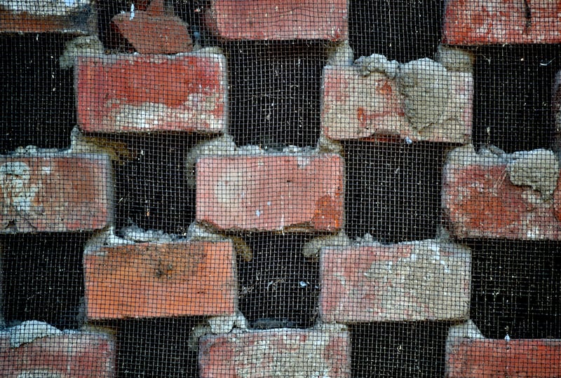 Cover air bricks with mesh to deter house mice