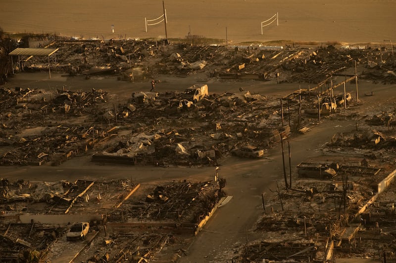 A person walks through a neighbourhood destroyed by the Palisades Fire (John Locher/AP)