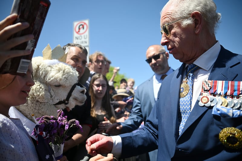 The King reacts after meeting Hefner the alpaca