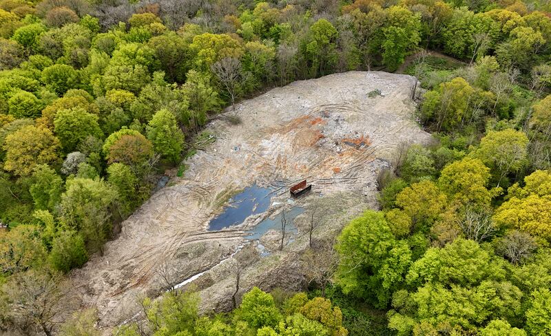 The ancient woodland is designated a site of special scientific interest