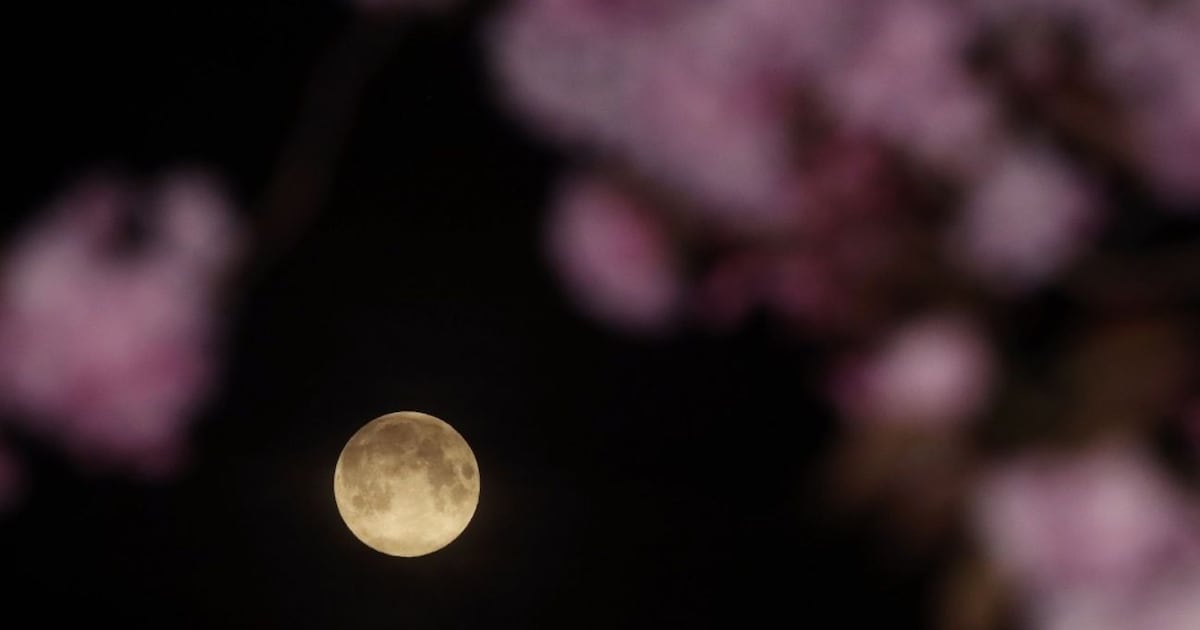 The UK was treated to a special pink moon this morning – The Irish News