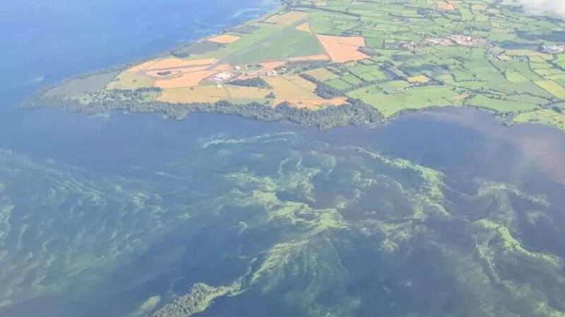 Lough Neagh: How climate change intensified toxic algae on the