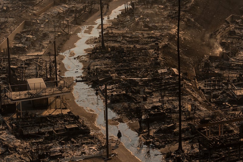 The Palisades fire caused widespread destruction (AP)