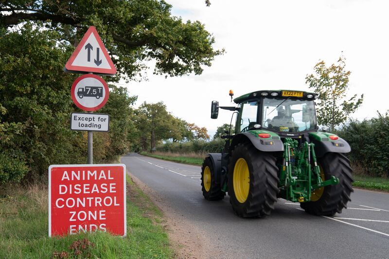 An Avian Influenza Prevention Zone (AIPZ) is in place across England and Scotland following a rise in bird flu cases