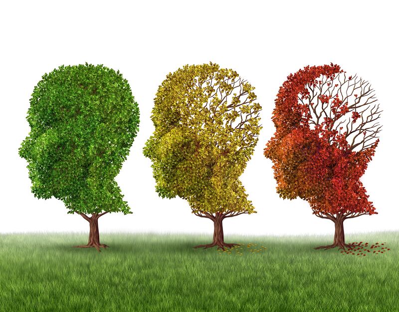 Three face-shaped trees changing colour and losing leaves to represent brain ageing and loss of cognitive function