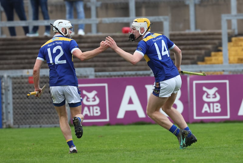 Portaferry’s Tom McMcGrattan    scores a goal  during the  Down GAA Senior Hurling Championship Final at Pairs Esler on Sunday.
PICTURE COLM LENAGHAN