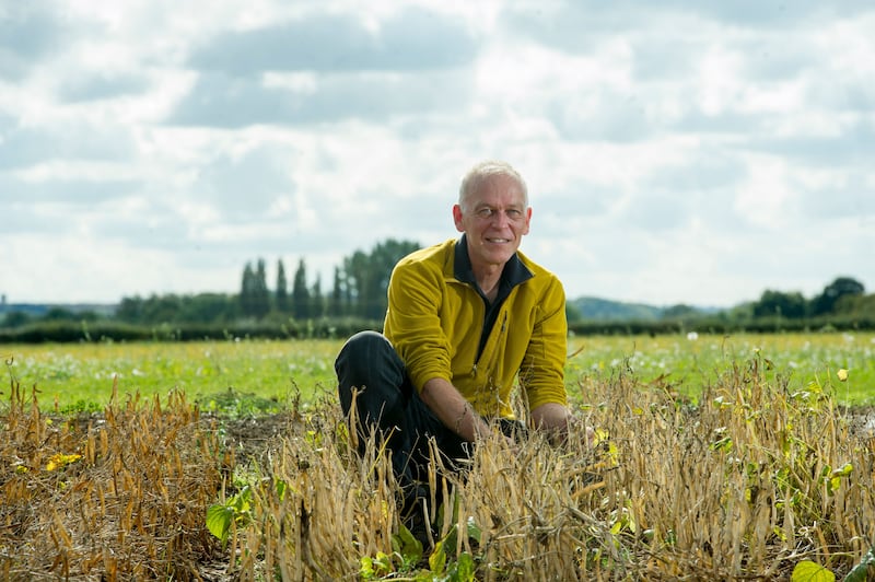 Professor Eric Holub 