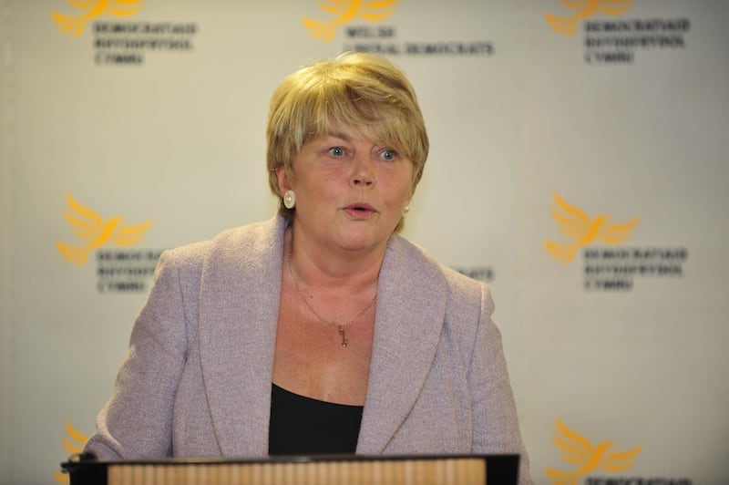 Baroness Randerson had a lengthy political career in Wales and Westminster for the Liberal Democrats