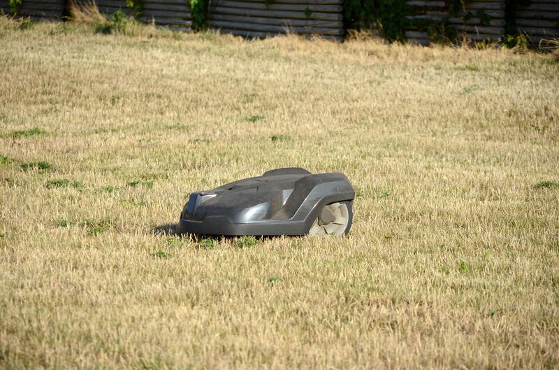 A robot lawn mower mowing a yellow lawn