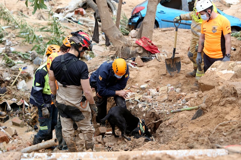 A rescue dog searches for victims after floods in Paiporta, near Valencia, Spain (Hugo Torres/AP)