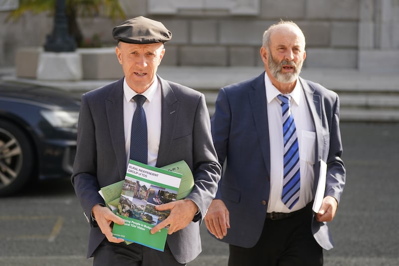 Michael and Danny Healy-Rae at Leinster House