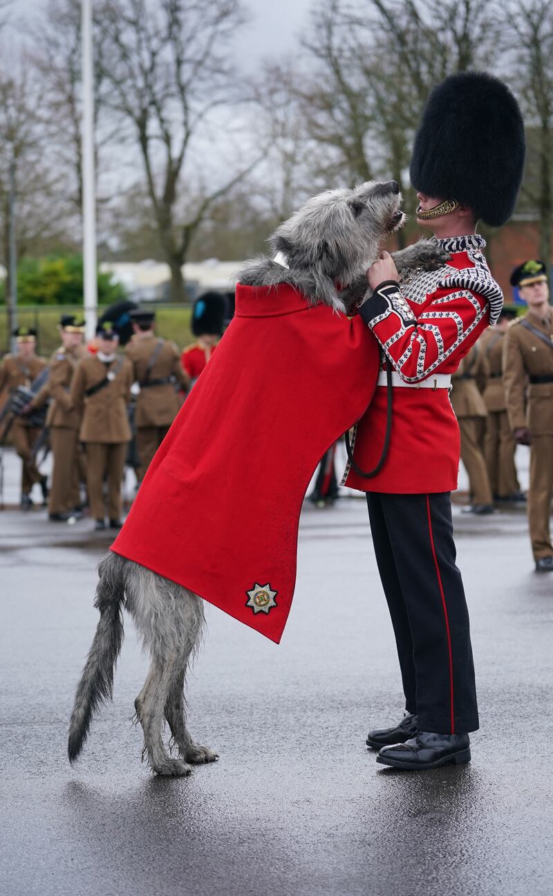 Mascot Seamus stood nose-to-nose with his handler, Drummer Ashley Dean