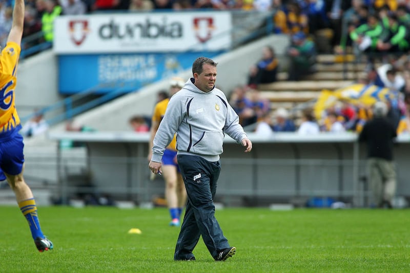 Davy Fitzgerald has stepped down as manager of the Clare senior hurlers &nbsp;