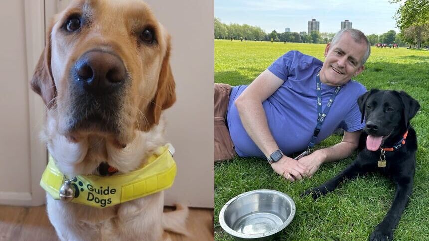 Eugene said volunteering with Guide Dogs has changed their life (Collect/PA Real Life)